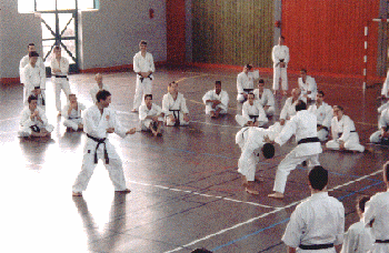 Plusieurs attaques possibles - mise en application de la vision p�riph�rique.