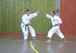 4e kumite kata