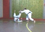 6e kumite kata