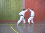 9e kumite kata